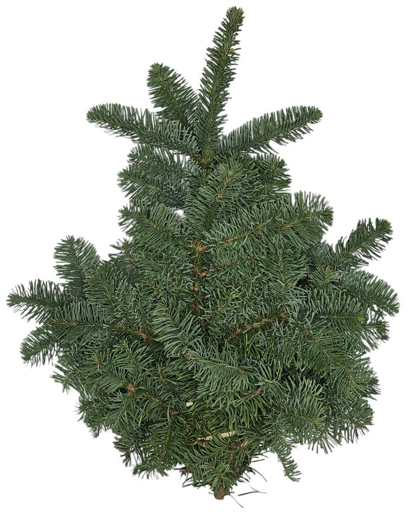 Handbos Nordmann 500 gram — 500 gram